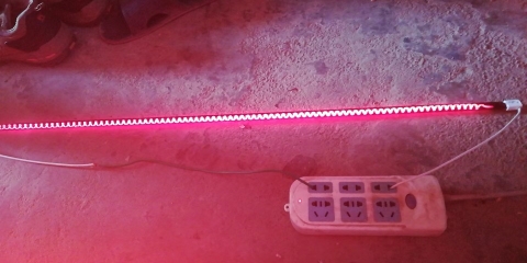 Bóng đèn sấy hồng ngoại 1000W/220V