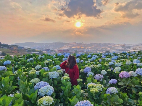 (tour tết ĐÀ LẠT) VƯỜN HOA THÀNH PHỐ –LANGBIANG – DINH BẢO ĐẠI – THIỀN VIỆN TRÚC LÂM- THUNG LŨNG VÀNG - GA XE LỬA  - LÀNG HOA VẠN THÀNH – THÁC VOI