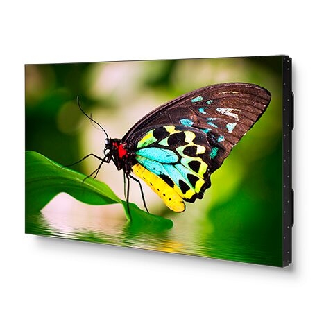 UN552, MÀN HÌNH CHUYÊN NGHIỆP VIỀN SIÊU HẸP 55 INCH