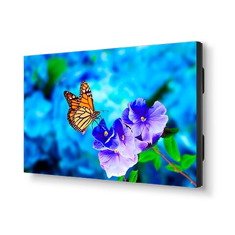 UN552VS, MÀN HÌNH CHUYÊN NGHIỆP 55