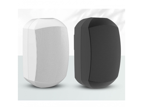 Loa 60W  treo tường Arvox  R-956