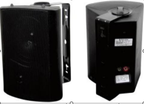 Loa hộp treo tường WJ-530