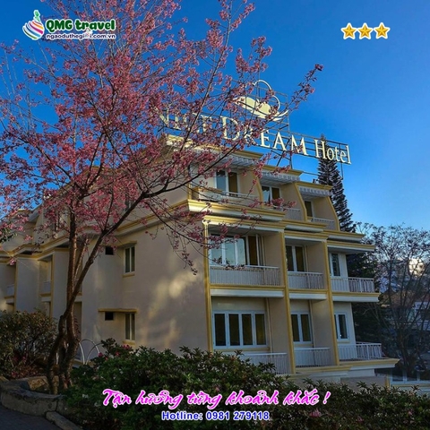 Nice Dream Dalat Hotel & Villas