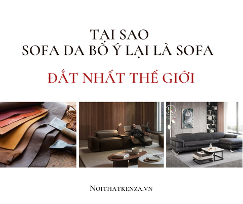 TẠI SAO SOFA DA BÒ Ý LẠI LÀ DÒNG SOFA ĐẮT NHẤT THẾ GIỚI ?