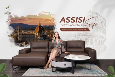 Sofa Asisi: Nâng Tầm Không Gian Sống Với Vẻ Đẹp Hoàn Mỹ Chuẩn Ý