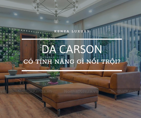 TÍNH NĂNG NỔI BẬT CỦA DA CARSON