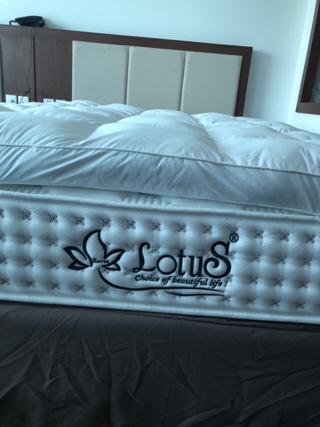 Đệm lò xo túi Lotus