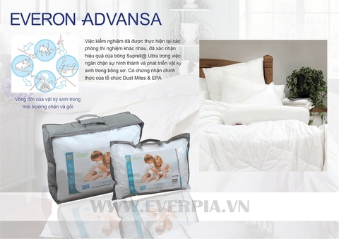 Ruột gối Everon Advansa Ultra