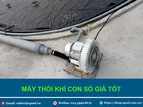 Có Thể Bạn Chưa Biết Về Máy Thổi Khí Con Sò Dành Cho Bể Bơi