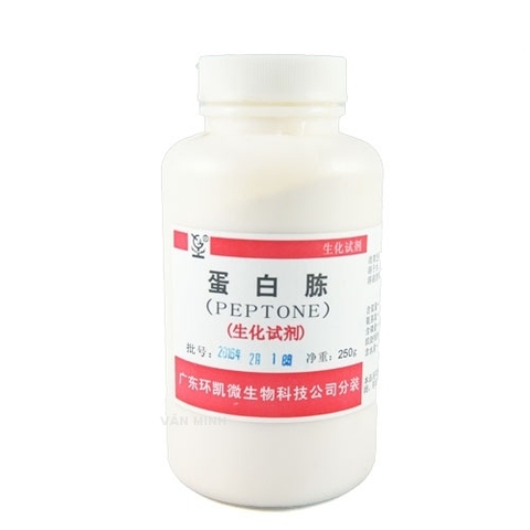 Peptone