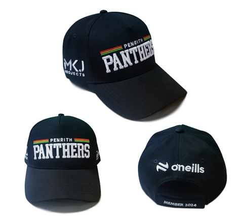 Mũ lưỡi trai PANTHERS