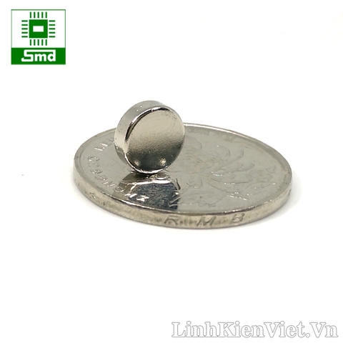 Nam châm đất hiếm 12x3mm