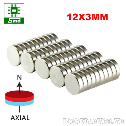 Nam châm đất hiếm 12x3mm