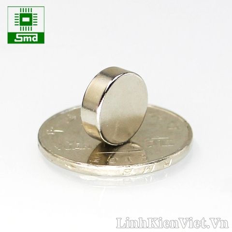 Nam châm đất hiếm 12x4mm