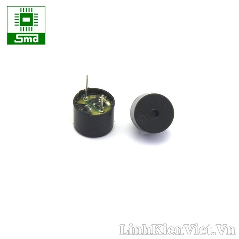 Còi chip (Không IC) 42R 12x8.5MM