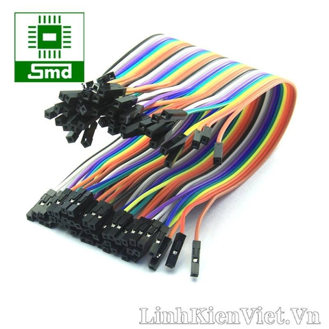 Dây cắm test board Cái-Cái 20cm (2.54mm)