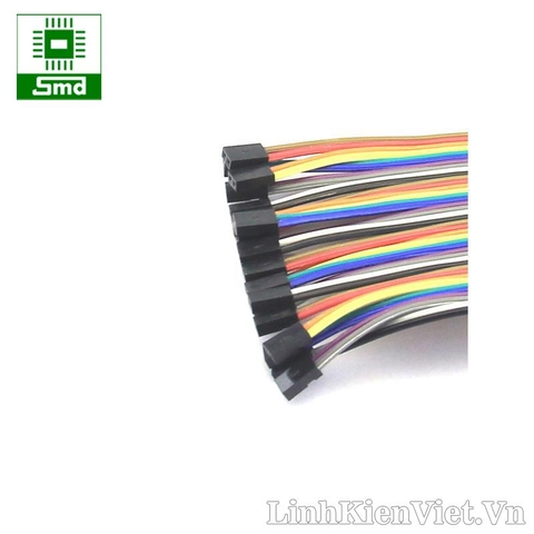 Dây cắm test board Cái-Cái 20cm (2.0mm)