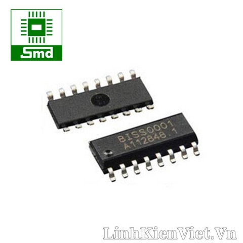 BISS0001 SOP-16