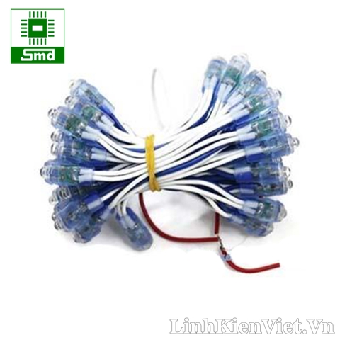 Led đúc phi 5 đế 8 (xanh dương)