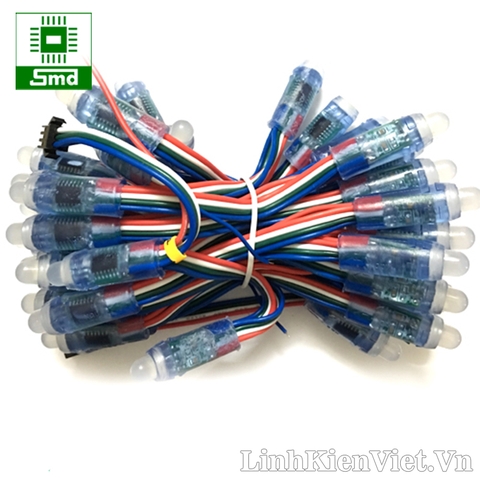 Led đúc F8 full color XQD IC6803