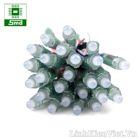 Led đúc F8 full color XQD IC6803