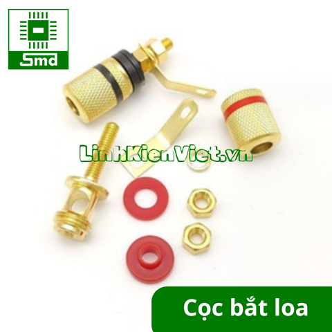 Cọc loa bắt ốc ở chân loại tốt