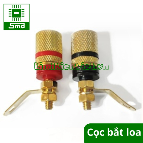 Cọc loa bắt ốc ở chân loại tốt
