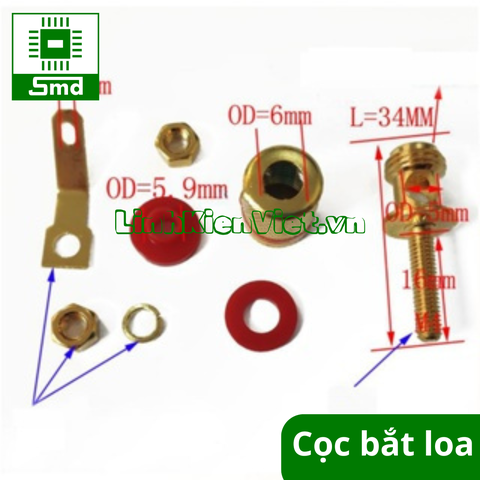 Cọc loa bắt ốc ở chân loại tốt