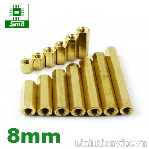 Chân đồng M3 Cái - Cái 8mm