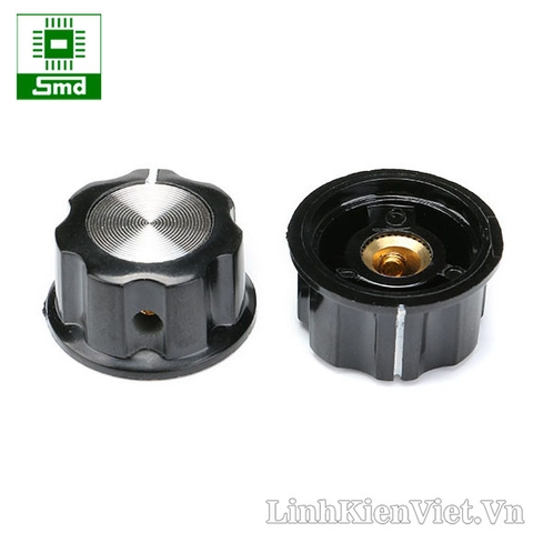 Triết Áp 22K 2W WTH118