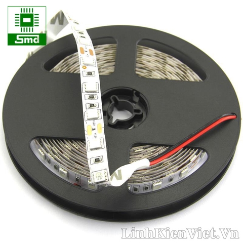 Led dây dán 5050 màu xanh dương