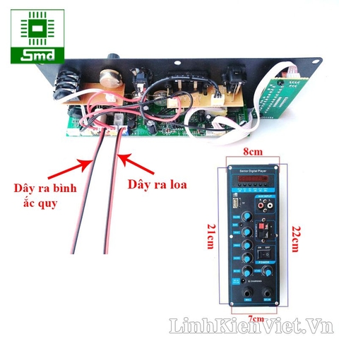 Mạch loa kéo 8622 12V 120W + 2 Mic không dây