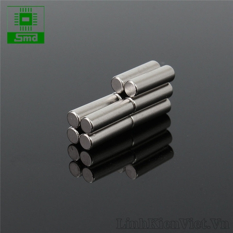 Nam châm đất hiếm 3x10mm