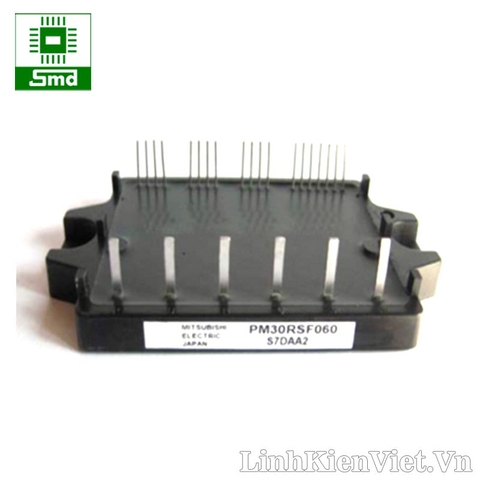 IGBT PM30RSF060