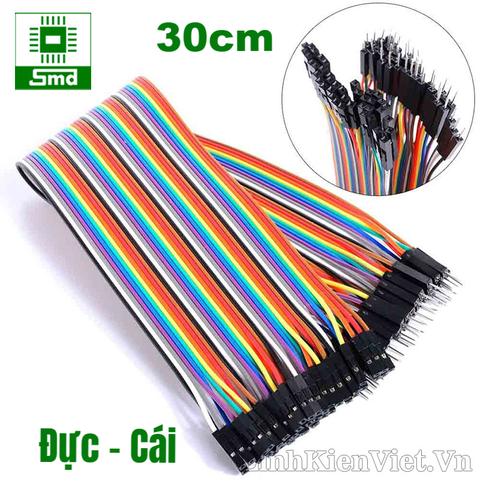 Dây cắm test board đực-cái 30cm (2.54mm)