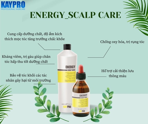 Dầu Gội Chống Rụng Tóc KAYPRO Energy (KAYPRO Energy Scalp Care Shampoo) 350ml