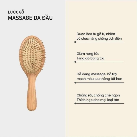 LƯỢC BÀN CHỐNG RỐI DAVINES