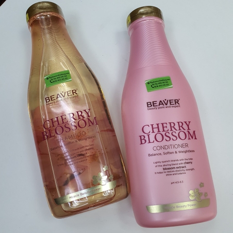 Cặp dầu gội và dầu xả siêu dưỡng tinh chất Beaver Cherry blossom dành cho tóc dầu