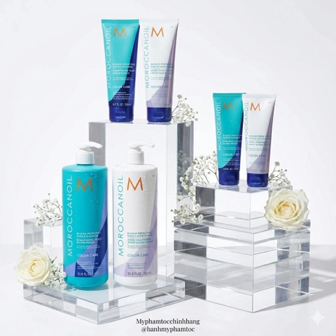 Dầu Gội Moroccanoil Tím Khử Ánh Vàng (Moroccanoil Blonde Perfecting Purple 200ml/ 1000ml