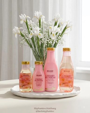 Cặp dầu gội và dầu xả siêu dưỡng tinh chất Beaver Cherry blossom dành cho tóc dầu