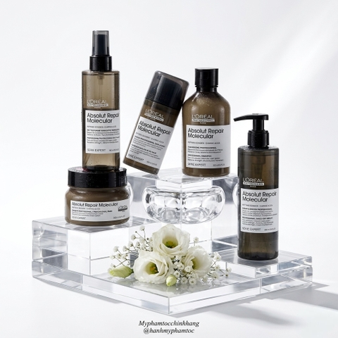 Bộ sản phẩm phục hồi chuyên sâu L'Oréal Professionnel Absolut Repair Molecular