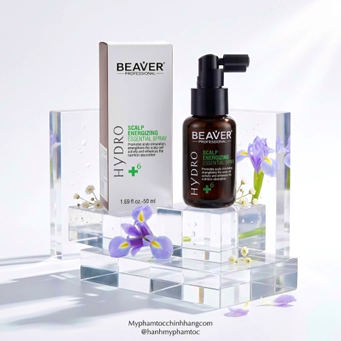Tinh chất dưỡng da đầu BEAVER +6 chống rụng & kích thích mọc tóc ( BEAVER +6 Hair Growth & Anti-Hair Loss Scalp Tonic) 50ml