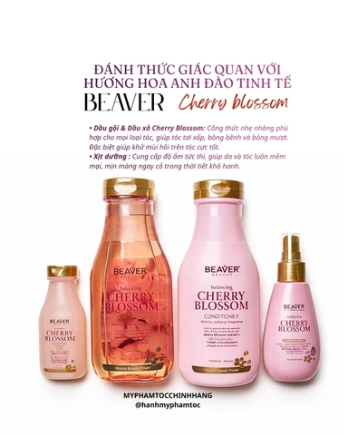 Cặp dầu gội và dầu xả siêu dưỡng tinh chất Beaver Cherry blossom dành cho tóc dầu