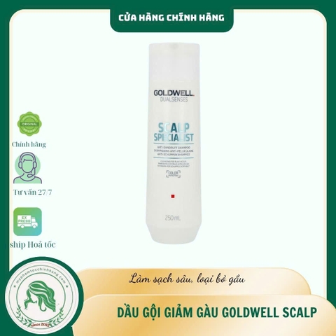 Dầu Gội Goldwell Trị Gàu Dualsenses Scalp Specialist Anti-Dandruff Shampoo 250ml