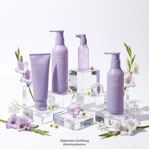 Bộ sản phẩm Dầu gội, dầu xả , serum dưỡng ẩm dịu nhẹ cho da nhạy  AYUNCHE Derma Calming Mild