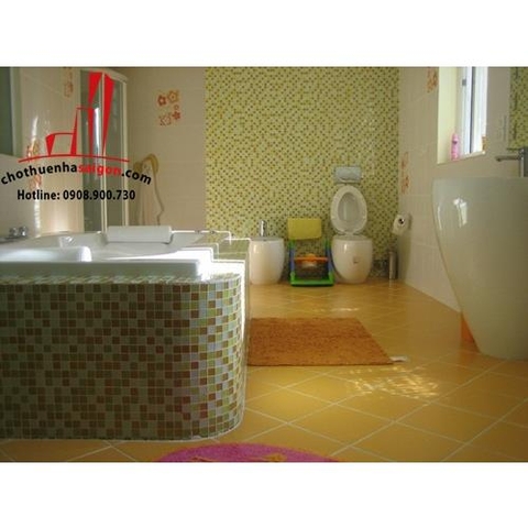 cho thuê biệt thự nguyên căn có hồ bơi đường hoàng hoa thám quận bình thạnh, giá cho thuê:1900$/tháng