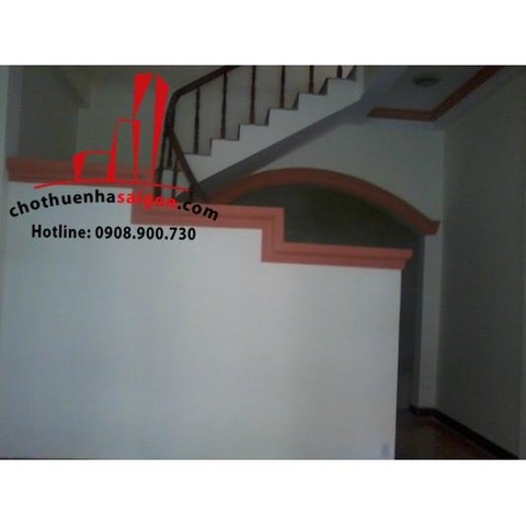 cho thuê nhà quận bình thanh, đường d1, phường 25, giá 550$/tháng