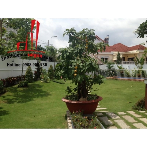 Cho thuê Villa Quận 2, khu Thảo Điền, giá 5000$