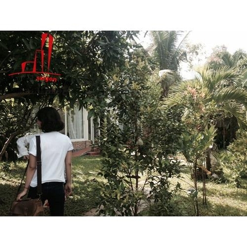 cho thuê biệt thự khu combound có sân vườn phường thảo điền quận 2, giá cho thuê:1600$/tháng