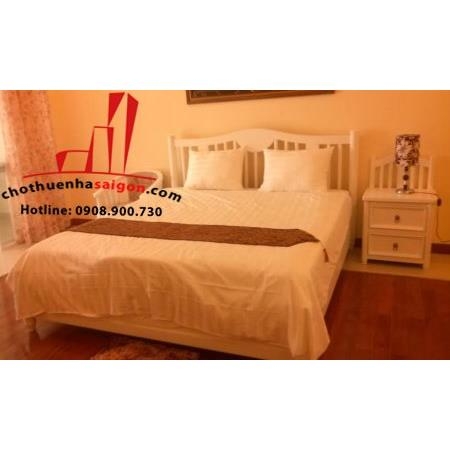 cho thuê căn hộ Serviced apartment đường thái văn lung, quận 1,giá 600$/tháng